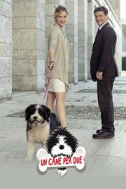Un cane per due filmas
