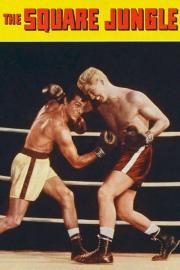 The Square Jungle filmas
