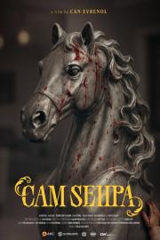 Cam Sehpa filmas