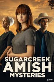 Sugarcreek Amish Mysteries: Blessings in Disguise filmas