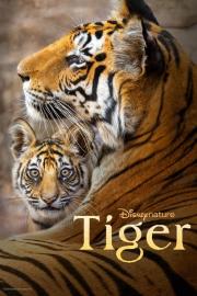 Tiger filmas