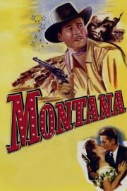 Montana filmas