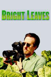 Bright Leaves filmas