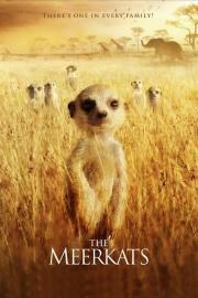 The Meerkats filmas
