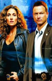 CSI. Niujorkas filmas