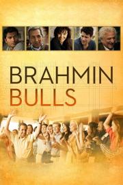 Brahmin Bulls filmas