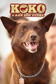 Koko: A Red Dog Story filmas