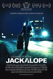 Looking for the Jackalope filmas