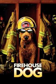 Firehouse Dog filmas
