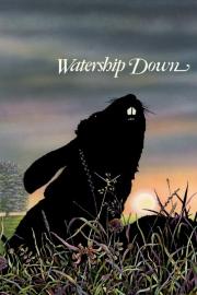 Watership Down filmas