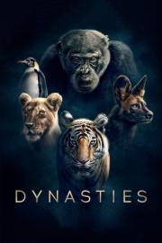 Dynasties filmas