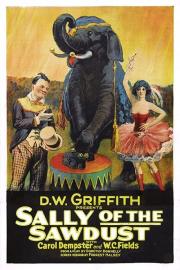 Sally of the Sawdust filmas