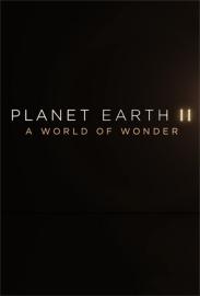 Planet Earth II: A World of Wonder filmas
