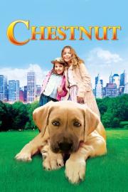 Chestnut: Hero of Central Park filmas