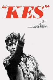 Kes filmas