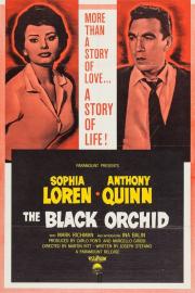 The Black Orchid filmas