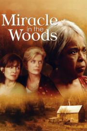 Miracle in the Woods filmas