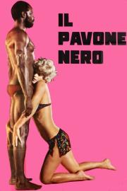 The Black Peacock filmas