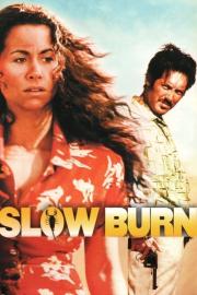 Slow Burn filmas
