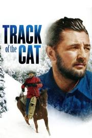 Track of the Cat filmas