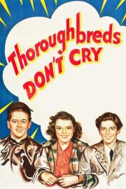 Thoroughbreds Don't Cry filmas