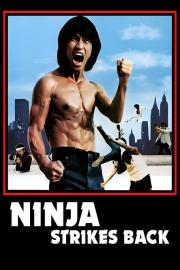 Bruce Strikes Back filmas