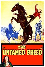 The Untamed Breed filmas