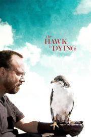 The Hawk Is Dying filmas