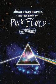Pink Floyd: Momentary Lapses - The True Story of Pink Floyd filmas