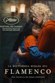 La misteriosa mirada del flamenco filmas