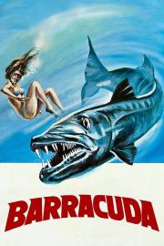 Barracuda filmas