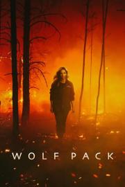 Vilkų gauja filmas