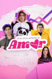 Calculando o Amor filmas