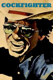 Cockfighter filmas