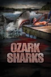 Ozark Sharks filmas