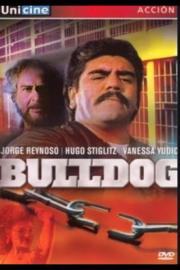 Bulldog filmas