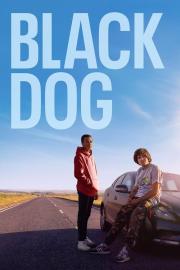 Black Dog filmas