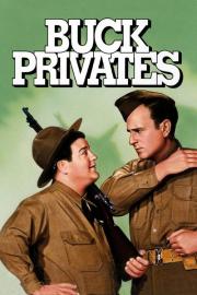 Buck Privates filmas