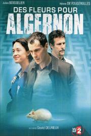 Des fleurs pour Algernon filmas