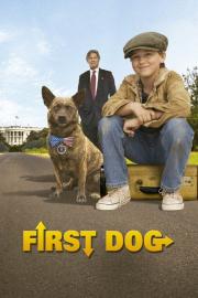 First Dog filmas