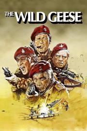 The Wild Geese filmas