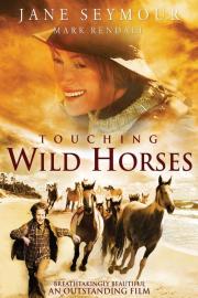 Touching Wild Horses filmas
