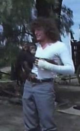 Fieras contra fieras filmas