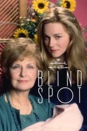 Blind Spot filmas
