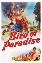 Bird of Paradise filmas