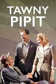 Tawny Pipit filmas