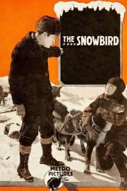 The Snowbird filmas