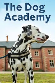 Bad Dog Academy filmas