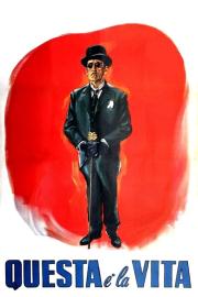 Questa è la vita filmas