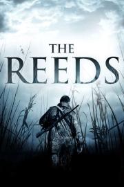 The Reeds filmas
